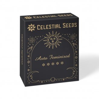 Семена конопли купить сорт Quarter Pounder Auto Fem.